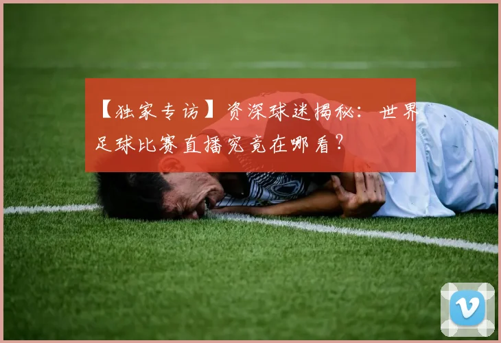 【独家专访】资深球迷揭秘:世界足球比赛直播究竟在哪看?