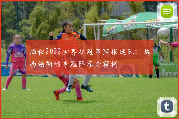 揭秘2022世界杯冠军阿根廷队:梅西领衔的夺冠阵容全解析